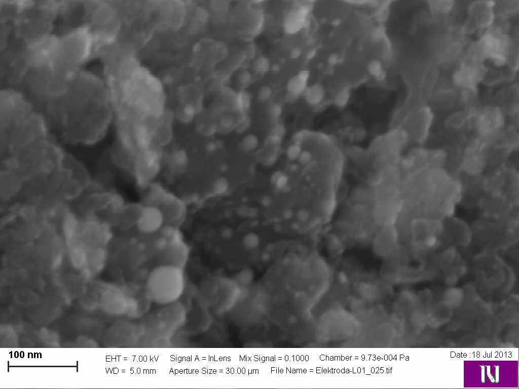 High-magnification cross-section view of the upper layer